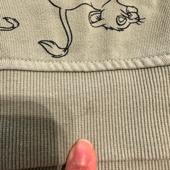 H&M Disney’s Lion King Hoodie - Picture 2 of 4